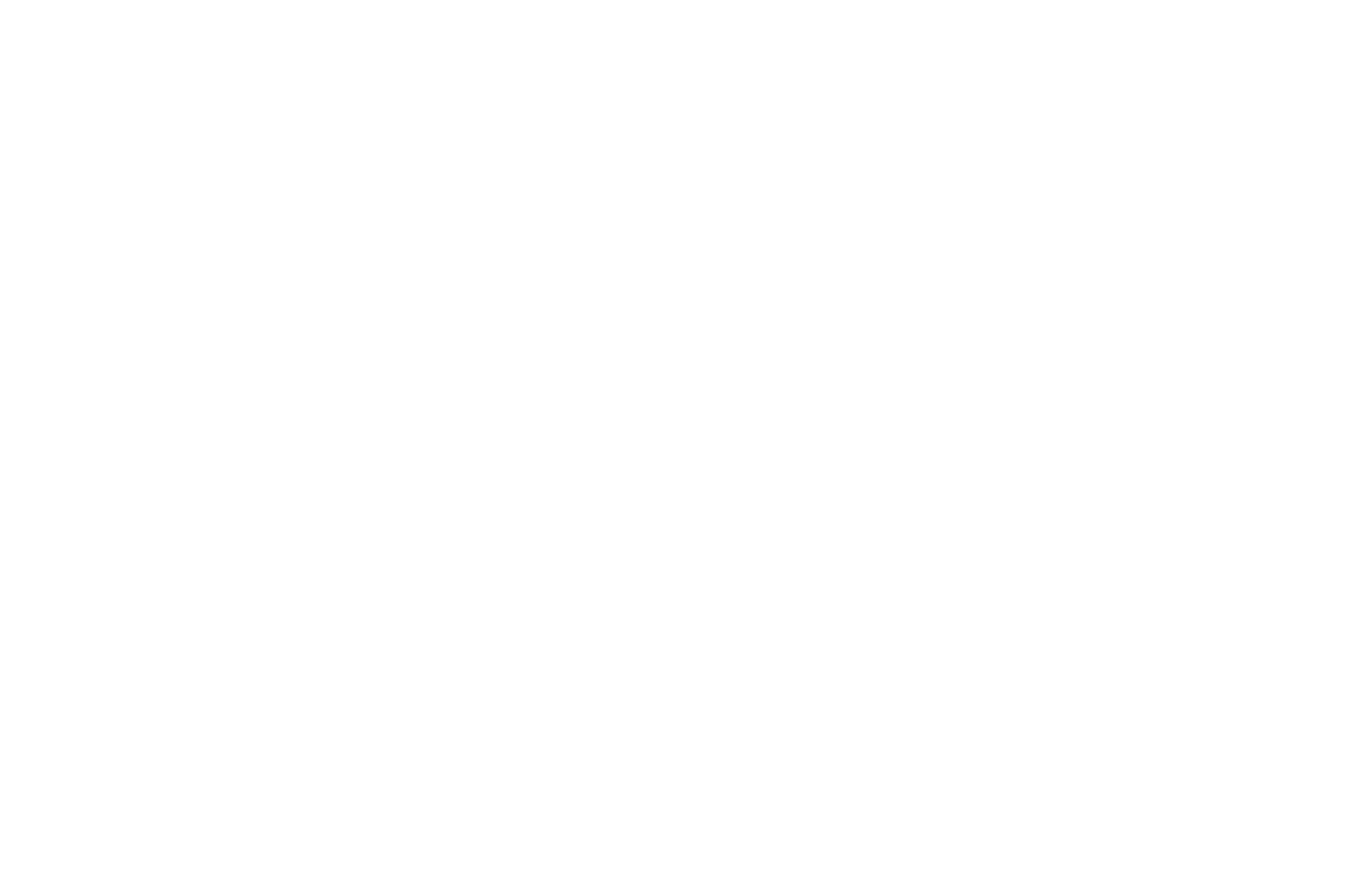 Make A Wish Logo