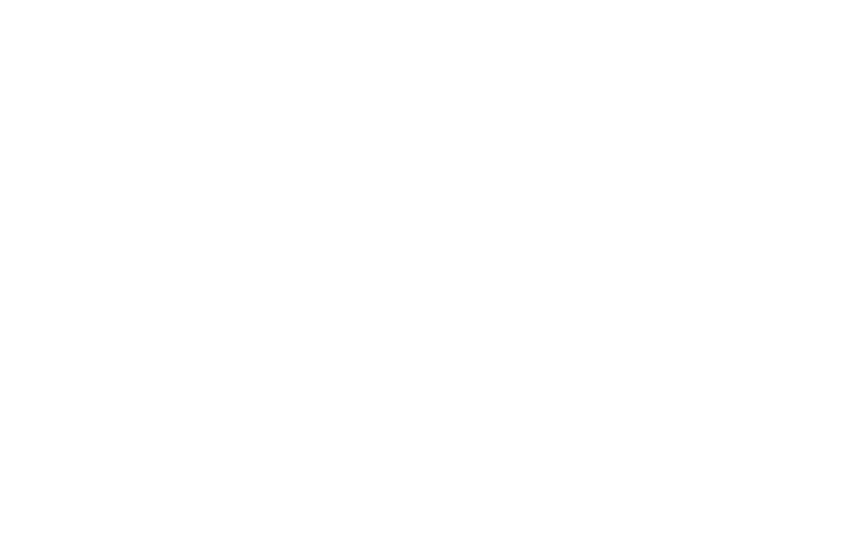 Make A Wish Logo Make A Wish Logo