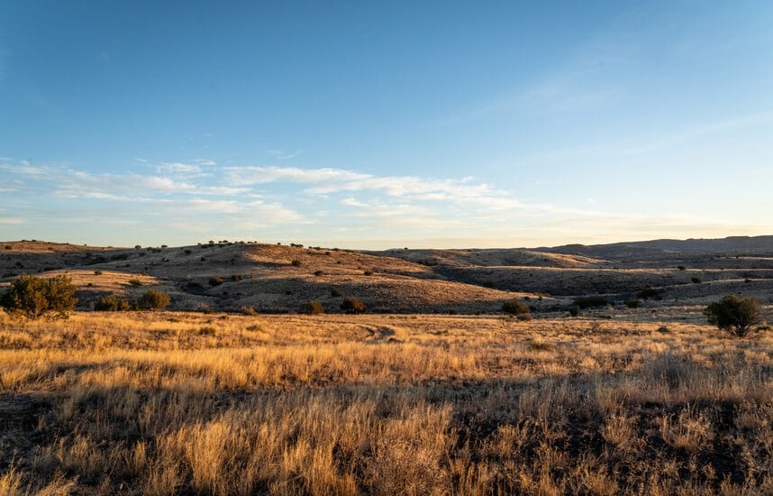 Prairies Prairies