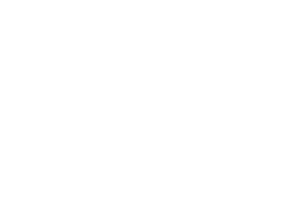 American Fighter Logo