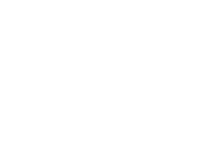 Wrangler Logo