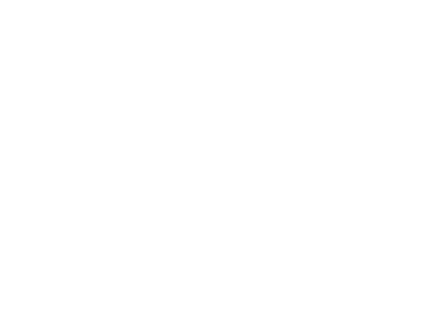 Tough Duck Logo