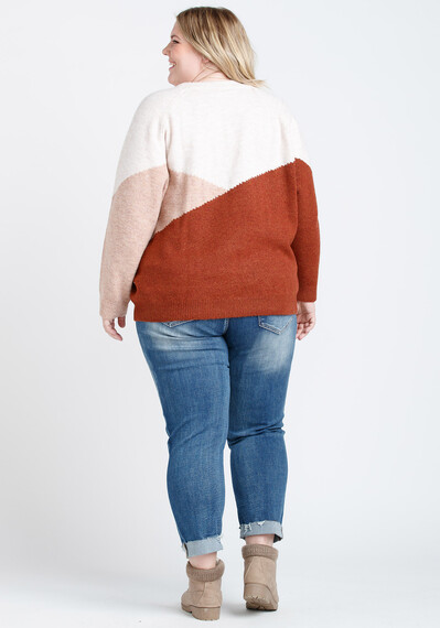 Women's Chevron Colourblock Sweater Image 2
