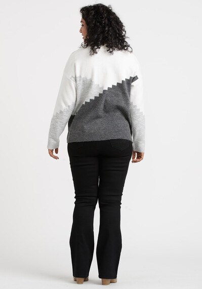 Women's Chevron Blocked Sweater Image 2