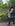 Image Badge Image Badge