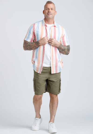 Men's Multicolour Striped Shirt Image 4