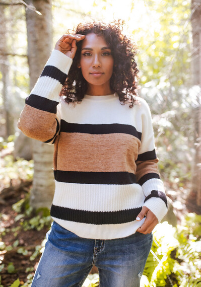 Women's Stripe Sweater Image 1