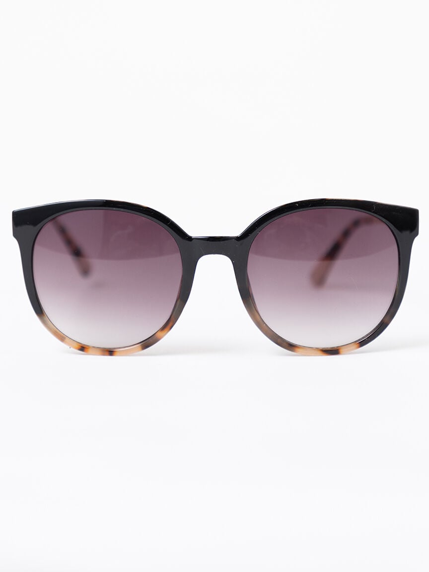 Women's Wayfarer Sunglasses