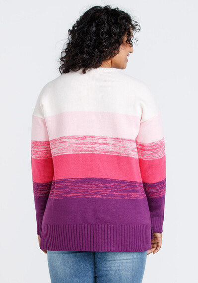 Women's Ombre Crew Neck Sweater Image 2