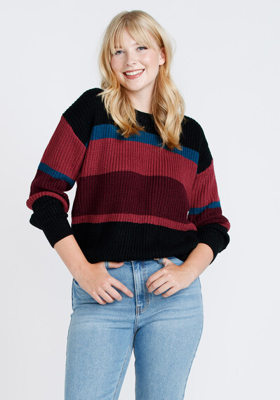 Women's Stripe Crew Neck Sweater Image 1