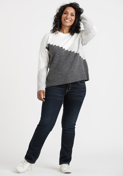 Women's Chevron Blocked Sweater Image 4
