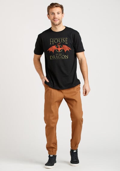Men's House of the Dragon Tee Image 3