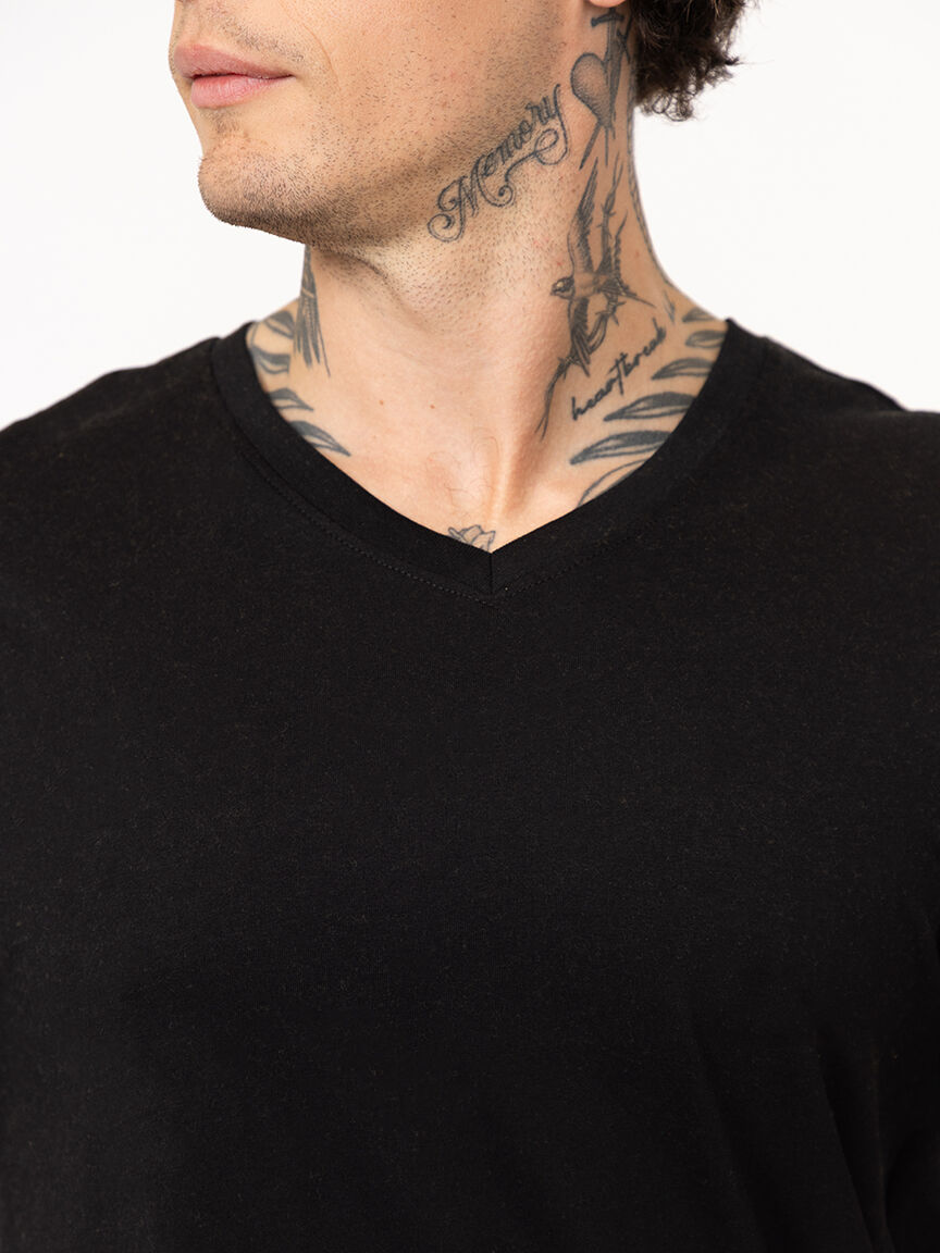 Men's Everyday V-neck Tee