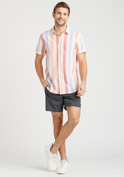 Men's Multicolour Striped Shirt Image 3