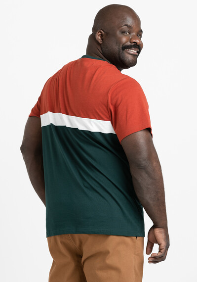 Men's Colour Block Shirt Image 3