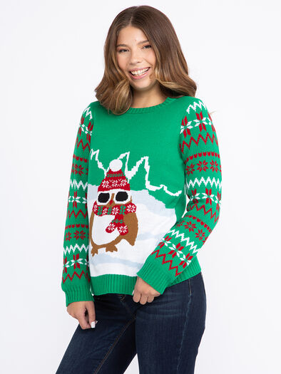 Women's Festive Owl Sweater, GREEN
