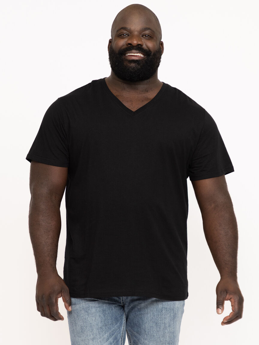 Men's Everyday V-neck Tee