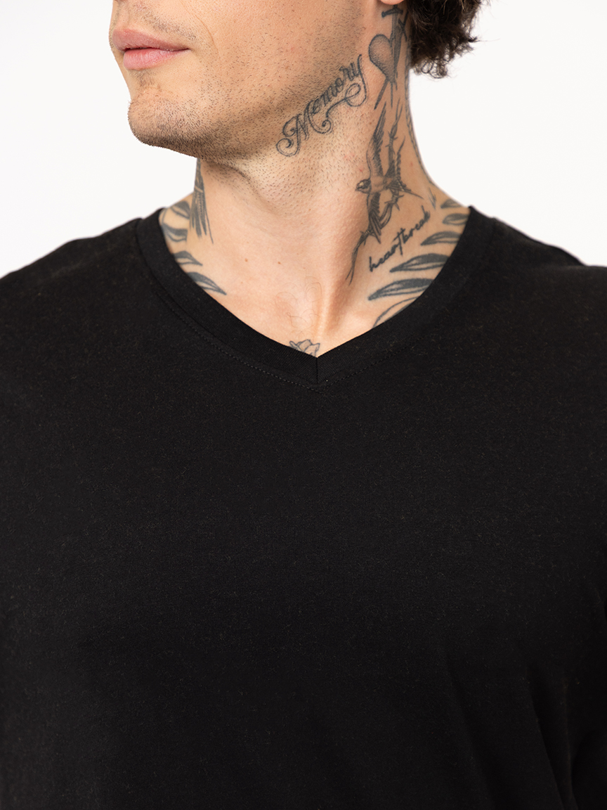 Men's Everyday V-Neck Tee